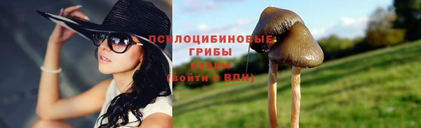 бошки Касимов