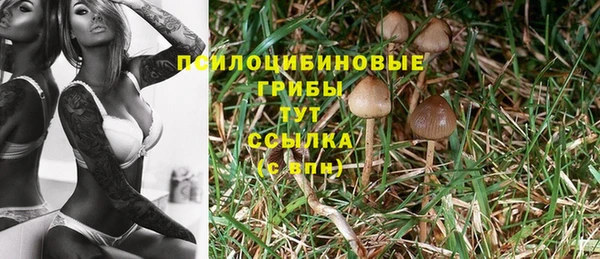 синтетический гашиш Приозерск