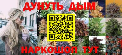 PSILOCYBIN Пугачёв